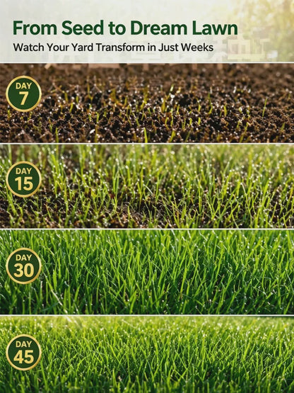 [99% Germination Rate in 7 Days] Multi-Variety Grass Seeds