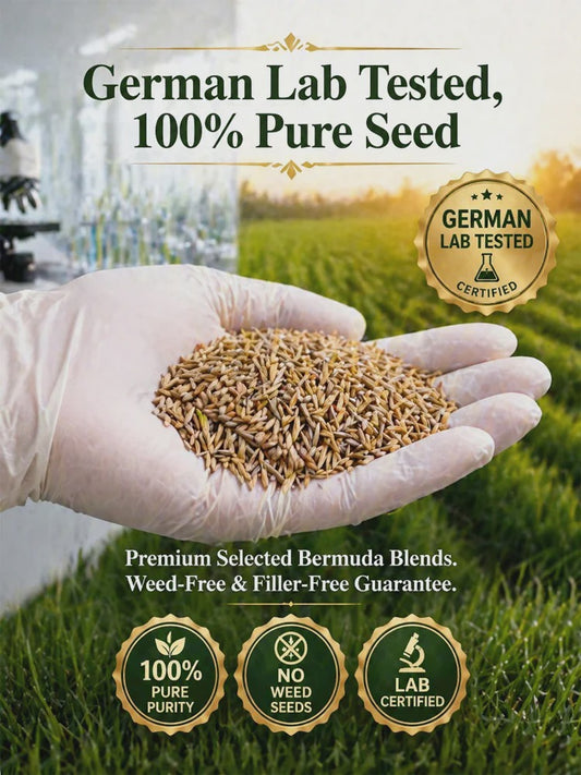 [99% Germination Rate in 7 Days] Multi-Variety Grass Seeds