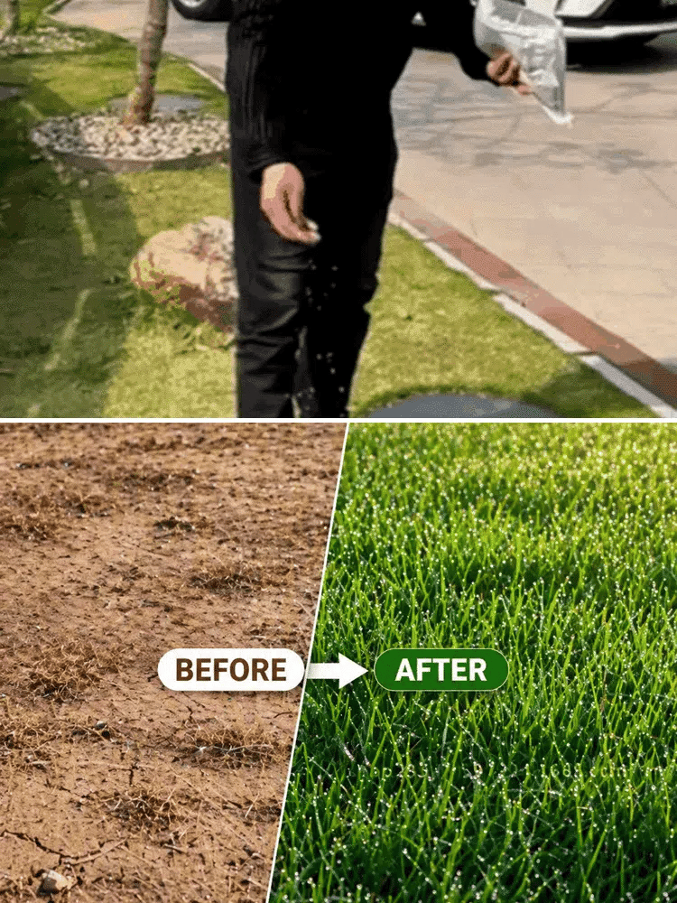 [99% Germination Rate in 7 Days] Multi-Variety Grass Seeds